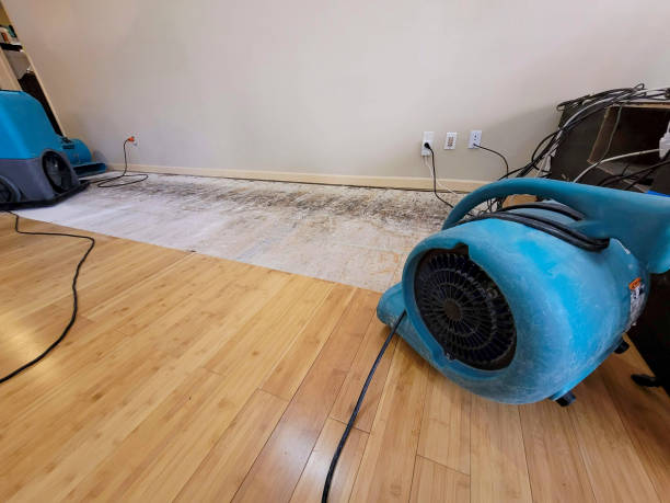 Professional Water Damage Repair technician working in Glouster, OH